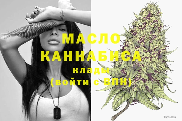 спиды Снежногорск