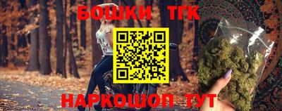 тгк Будённовск