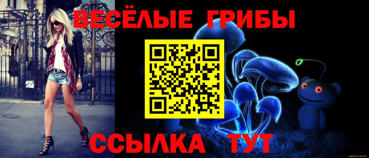 где купить наркотик  Липецк  Галлюциногенные грибы Cubensis 